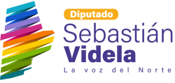 Sebastián Videla