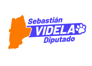 Logo sebastian Videla Diputado Transp